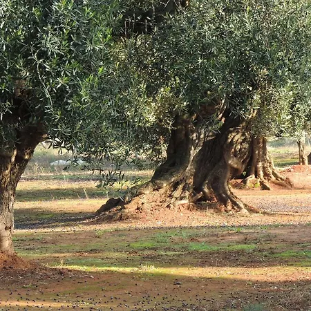 Bed & Breakfast Le Comari Salentine Lecce